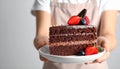 Woman holding plate with slice of chocolate sponge berry cake on grey background Royalty Free Stock Photo