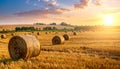 Beautiful view of agricultural field with hay bales Royalty Free Stock Photo