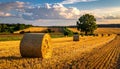 Beautiful view of agricultural field with hay bales Royalty Free Stock Photo