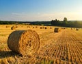 Beautiful view of agricultural field with hay bales Royalty Free Stock Photo