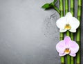 Beautiful orchid flower and bamboo stems with water drops on grey table, flat lay. Royalty Free Stock Photo