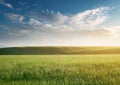 Gently rolling hills covered in lush green grass stretch across the landscape under a clear blue sky Royalty Free Stock Photo