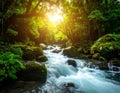 Sunlit forest scene featuring a flowing river with smooth, fast-moving water over rocks Royalty Free Stock Photo