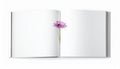 An open blank book lies against a white background Royalty Free Stock Photo