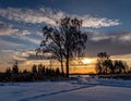 Snowy landscape at sunset featuring leafless trees silhouetted against a colorful sky Royalty Free Stock Photo