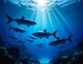 Underwater scene depicting a school of fish, likely tuna (Thunnus spp.), swimming in a vibrant blue ocean Royalty Free Stock Photo