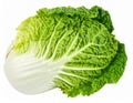 Savoy cabbage (Brassica oleracea var. sabauda) with distinct wrinkled, dark green leaves Royalty Free Stock Photo
