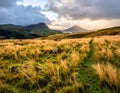 Golden grasslands stretch across the foreground with a narrow trail leading into the distance Royalty Free Stock Photo