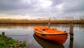 Outdoor photo of a dutch lake with reed collar behind it, orange dinghy without engin Royalty Free Stock Photo