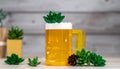 Beer glass succulents made from legos Royalty Free Stock Photo