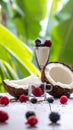 Berry drink coconut collagen Nta de coco Royalty Free Stock Photo