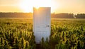 Door frame in the middle of an outdoor cannabis field as the sun rises Royalty Free Stock Photo