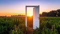 Door frame in the middle of an outdoor cannabis field as the sun rises Royalty Free Stock Photo