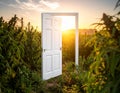 Door frame in the middle of an outdoor cannabis field as the sun rises Royalty Free Stock Photo
