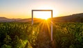 Door frame in the middle of an outdoor cannabis field as the sun rises Royalty Free Stock Photo