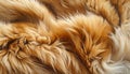 animal fur texture background with soft flowing strands, warm natural tones, and rich detail Royalty Free Stock Photo