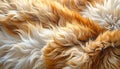 animal fur texture background with soft flowing strands, warm natural tones, and rich detail Royalty Free Stock Photo