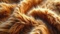 animal fur texture background with soft flowing strands, warm natural tones, and rich detail Royalty Free Stock Photo