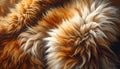 animal fur texture background with soft flowing strands, warm natural tones, and rich detail Royalty Free Stock Photo