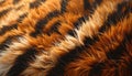 animal fur texture background with soft flowing strands, warm natural tones, and rich detail Royalty Free Stock Photo