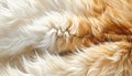 animal fur texture background with soft flowing strands, warm natural tones, and rich detail Royalty Free Stock Photo