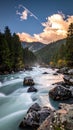 A rushing mountain river flows through a forested valley, surrounded by lush evergreen trees Royalty Free Stock Photo