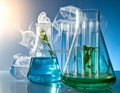 Laboratory glassware containing blue and green liquids with leafy plant samples inside. Royalty Free Stock Photo