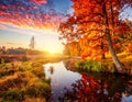 A serene autumn landscape featuring a small, reflective waterway meandering through a field Royalty Free Stock Photo