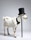 Cartoon artistic image of a side viewof a whole goat with a top hat and a cane Royalty Free Stock Photo