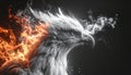 Black and white photography style image of a pheonix head with flames on black background. Royalty Free Stock Photo