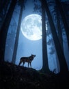 Forest hunting moonlight wolf Royalty Free Stock Photo