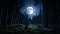 Forest hunting moonlight wolf Royalty Free Stock Photo