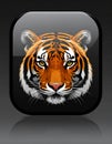 App icon vector - Style image of tiger - Faced dog Royalty Free Stock Photo