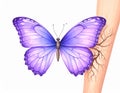 Realistic cilium roots morphing into purple butterfly Studio shot photo of berry Royalty Free Stock Photo