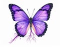 Realistic cilium roots morphing into purple butterfly Studio shot photo of berry Royalty Free Stock Photo