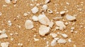 Sand and Shells Texture Beach Sand and Seashells Close-up Royalty Free Stock Photo