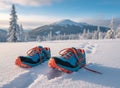 hiking boots on a snowy gorund Royalty Free Stock Photo