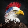 Baroque artistic image of isolated americana patriotic punkrock eagle with mohawk Royalty Free Stock Photo