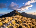Grassy mountain landscape under a clear blue sky. A rocky path winds through golden tussocks of grass Royalty Free Stock Photo