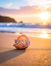 A conch shell rests on a sandy beach during sunset Royalty Free Stock Photo