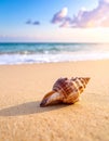 A conch shell lies on a sandy beach in the foreground, with gentle ocean waves in the background Royalty Free Stock Photo