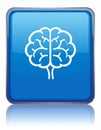 App icon vector-style image of a brain Royalty Free Stock Photo