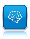 App icon vector-style image of a brain Royalty Free Stock Photo