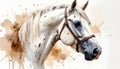 A head of aspotted white delicate beautiful horse in a halter, witha a very long Royalty Free Stock Photo