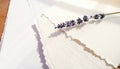 Delicate Lavender Sprig on Textured Paper with Soft Light Royalty Free Stock Photo