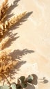 Dried Pampas Grass and Eucalyptus Leaves with Soft Shadows on Textured Beige Background Royalty Free Stock Photo