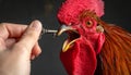 The head of the rooster portrait is close. the rooster has opened the key and screams Royalty Free Stock Photo