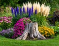 Outdoor photo of a charming 4x4 meter garden scene with a central weathered tree stum Royalty Free Stock Photo
