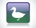 App icon vector-style image of a duck Royalty Free Stock Photo