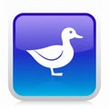 App icon vector-style image of a duck Royalty Free Stock Photo